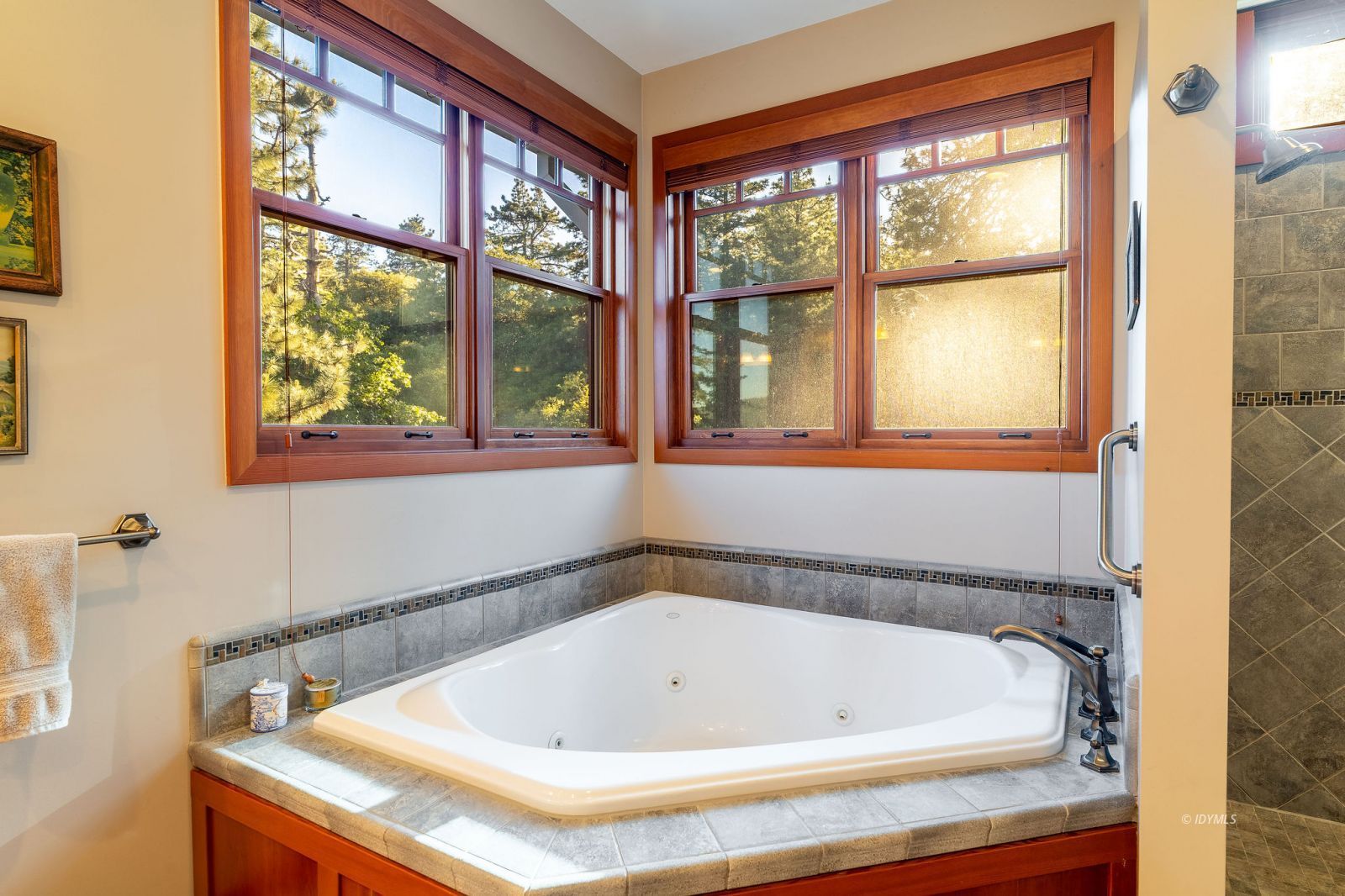 Property Photo 66