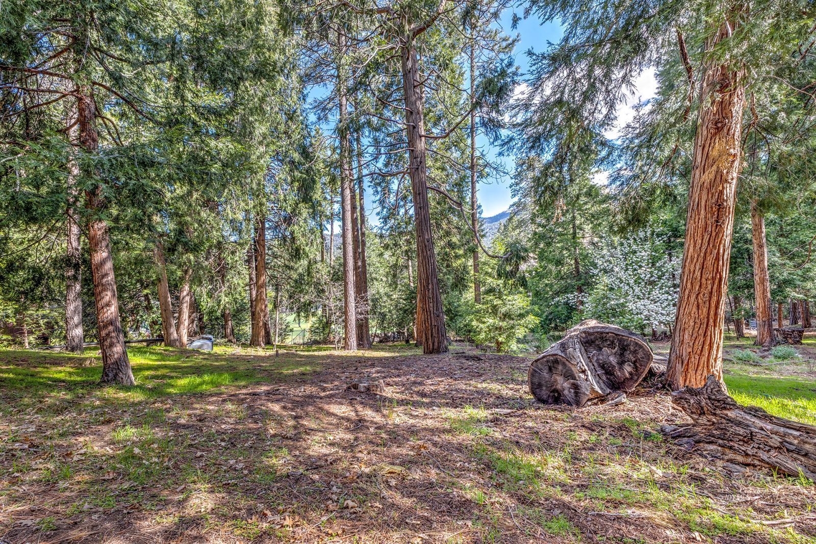 Property Photo 51