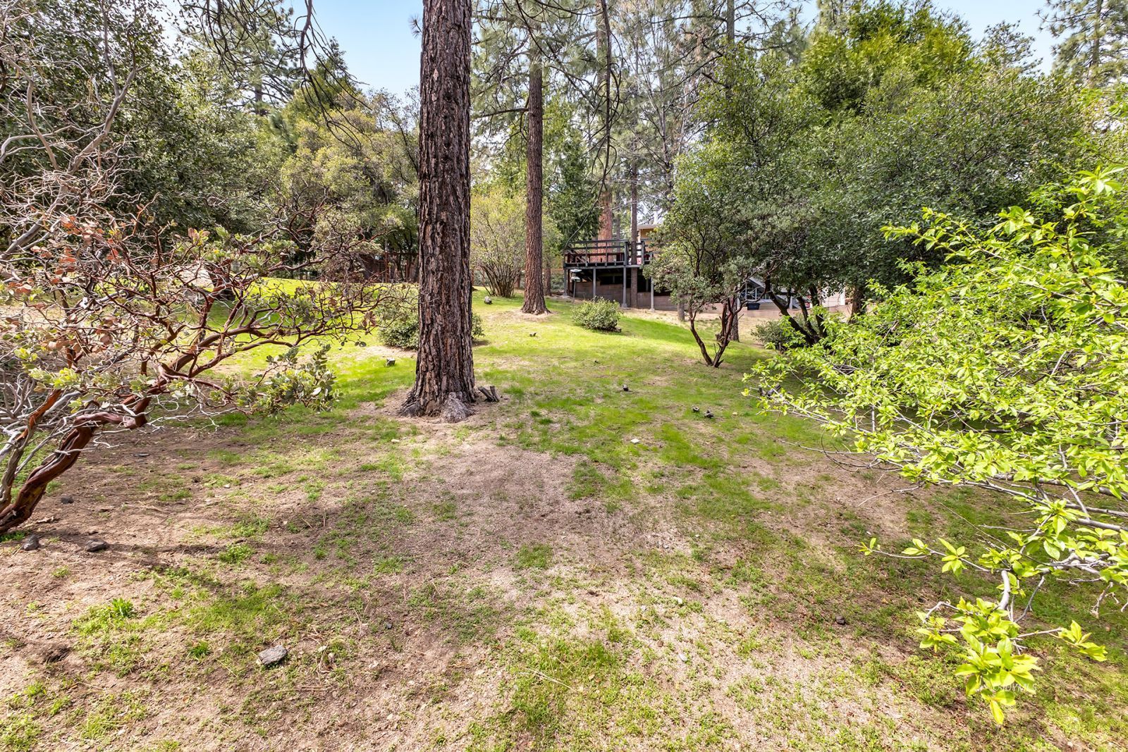 Property Photo 55