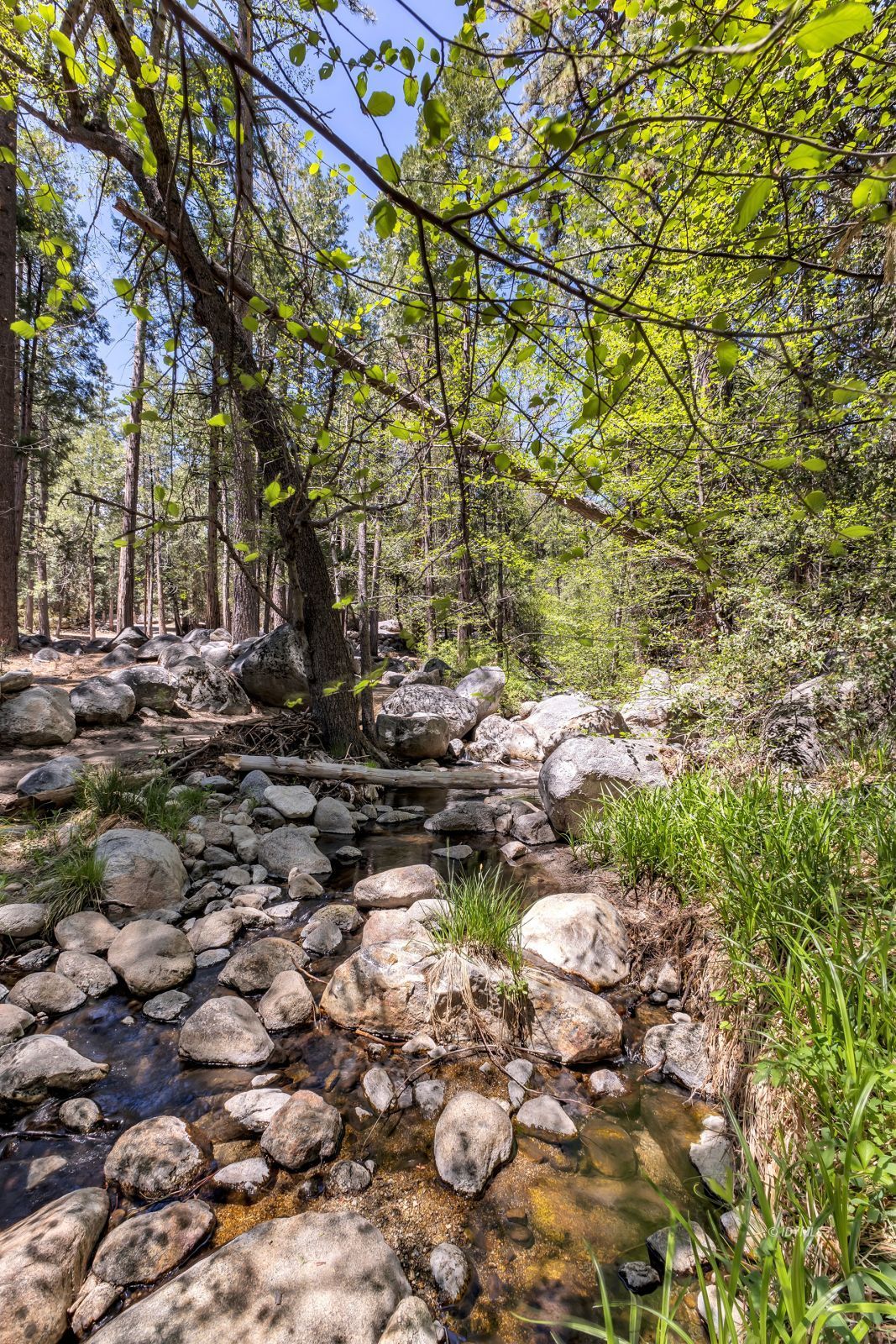 Property Photo 76