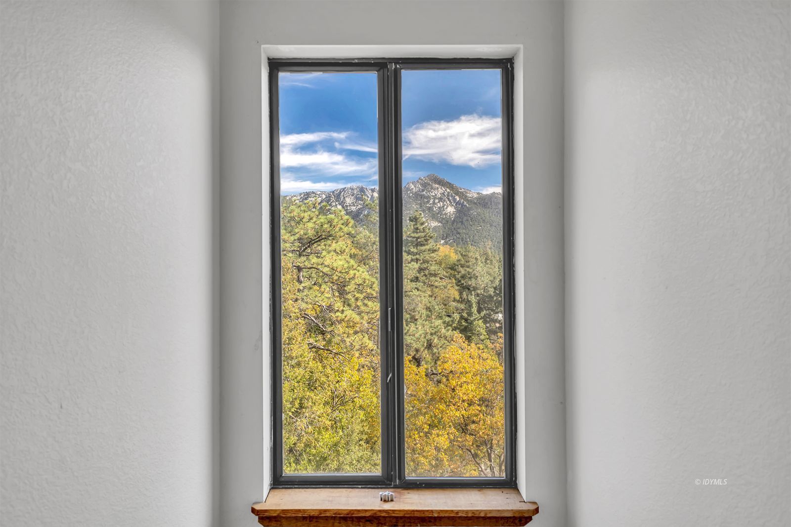 Property Photo 46