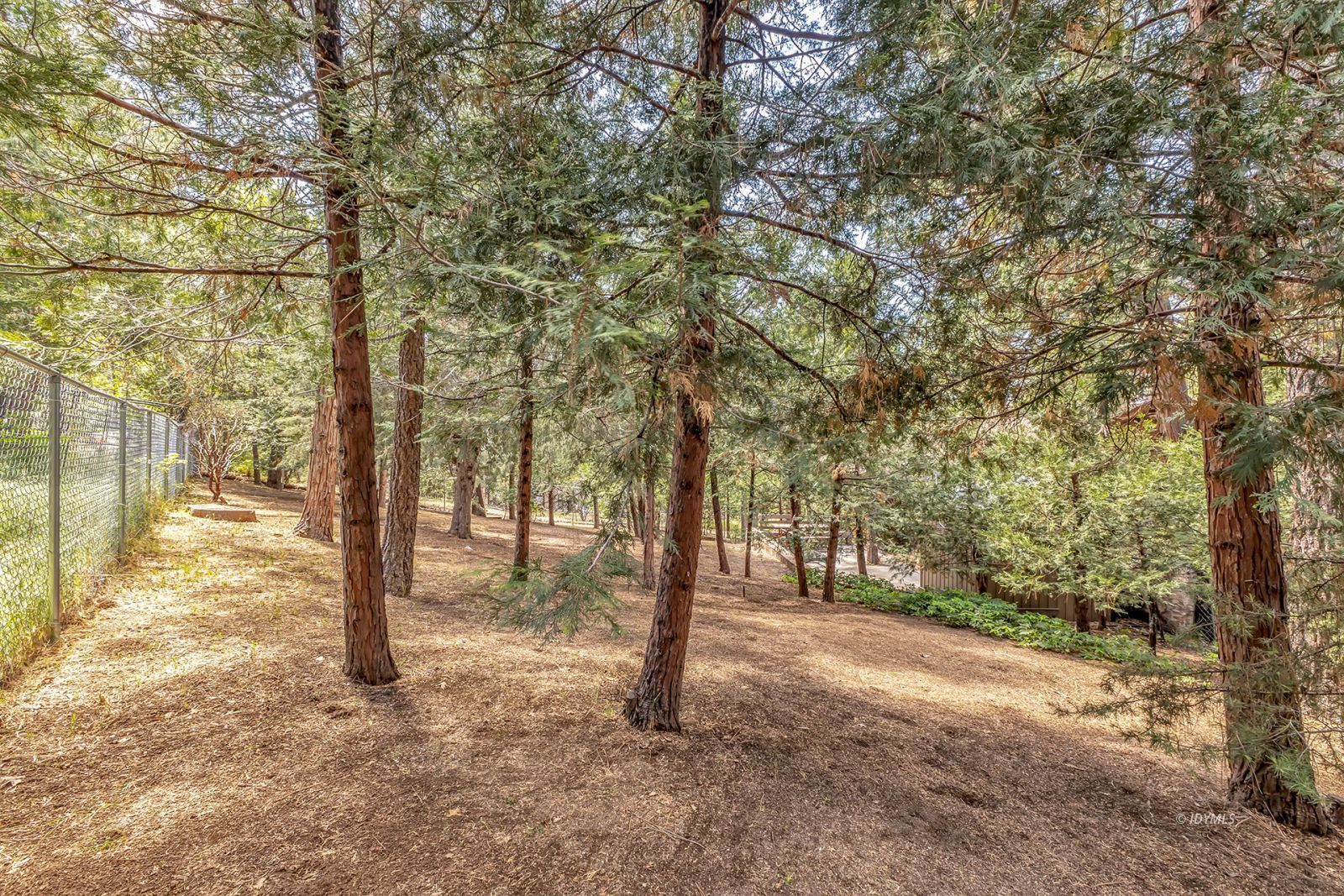 Property Photo 56