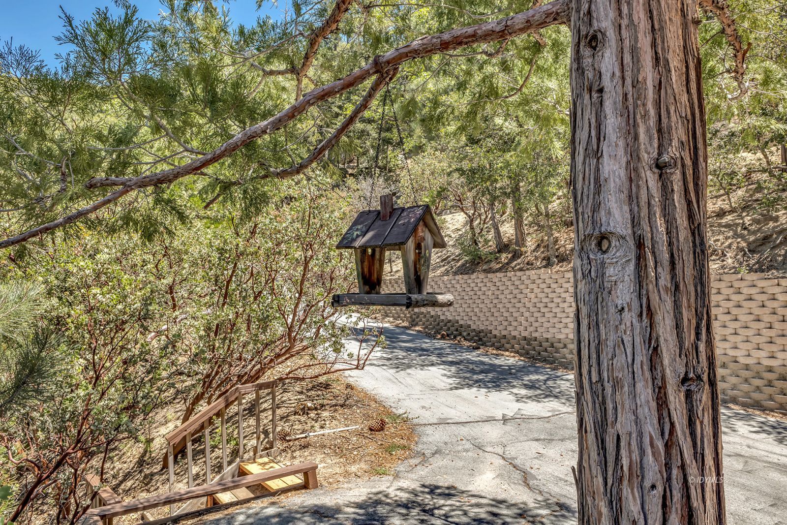 Property Photo 54
