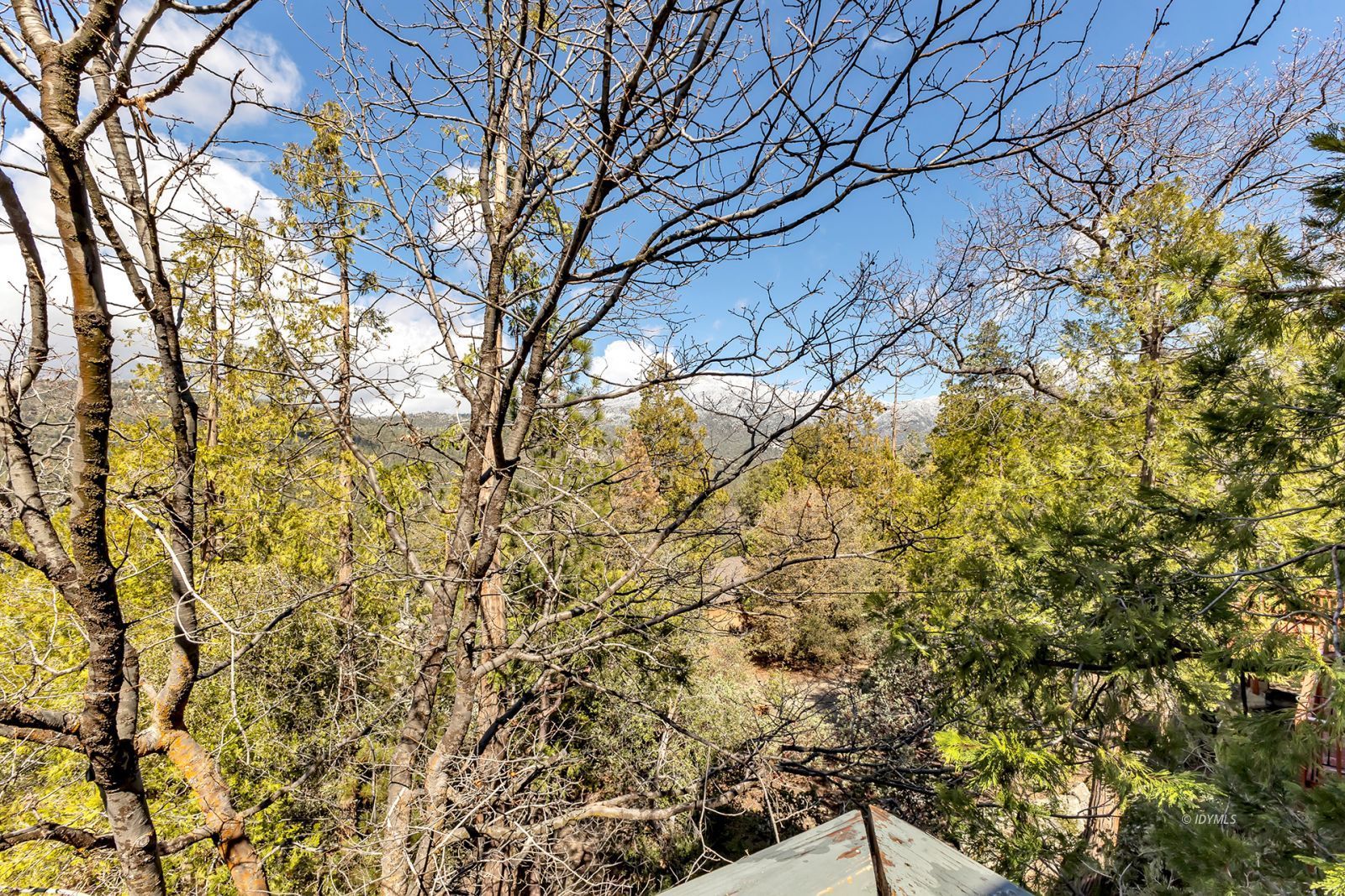 Property Photo 44