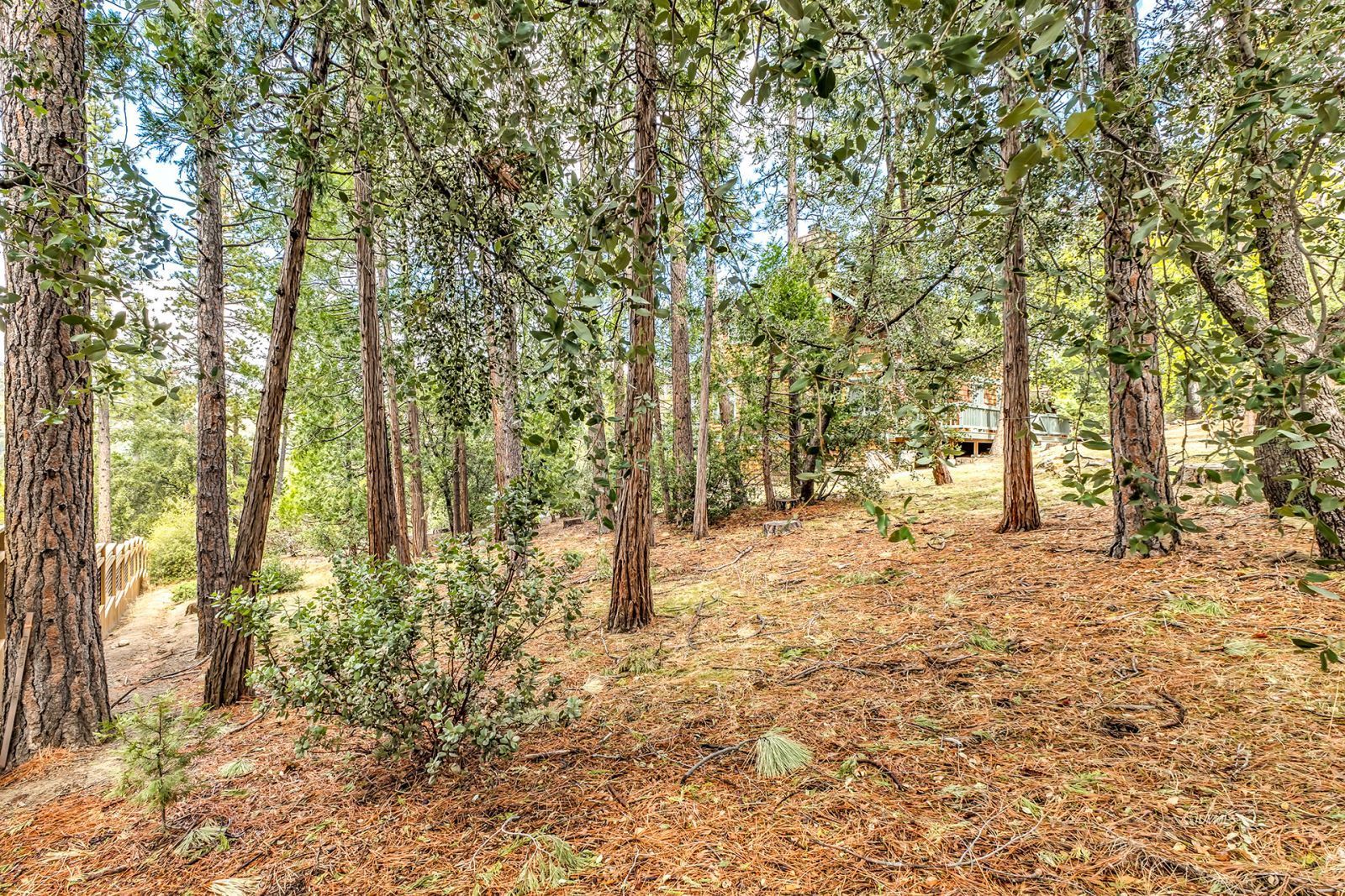 Property Photo 56