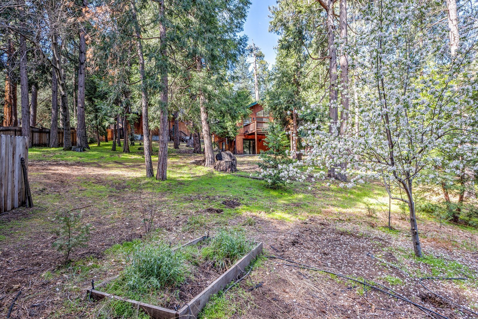 Property Photo 52