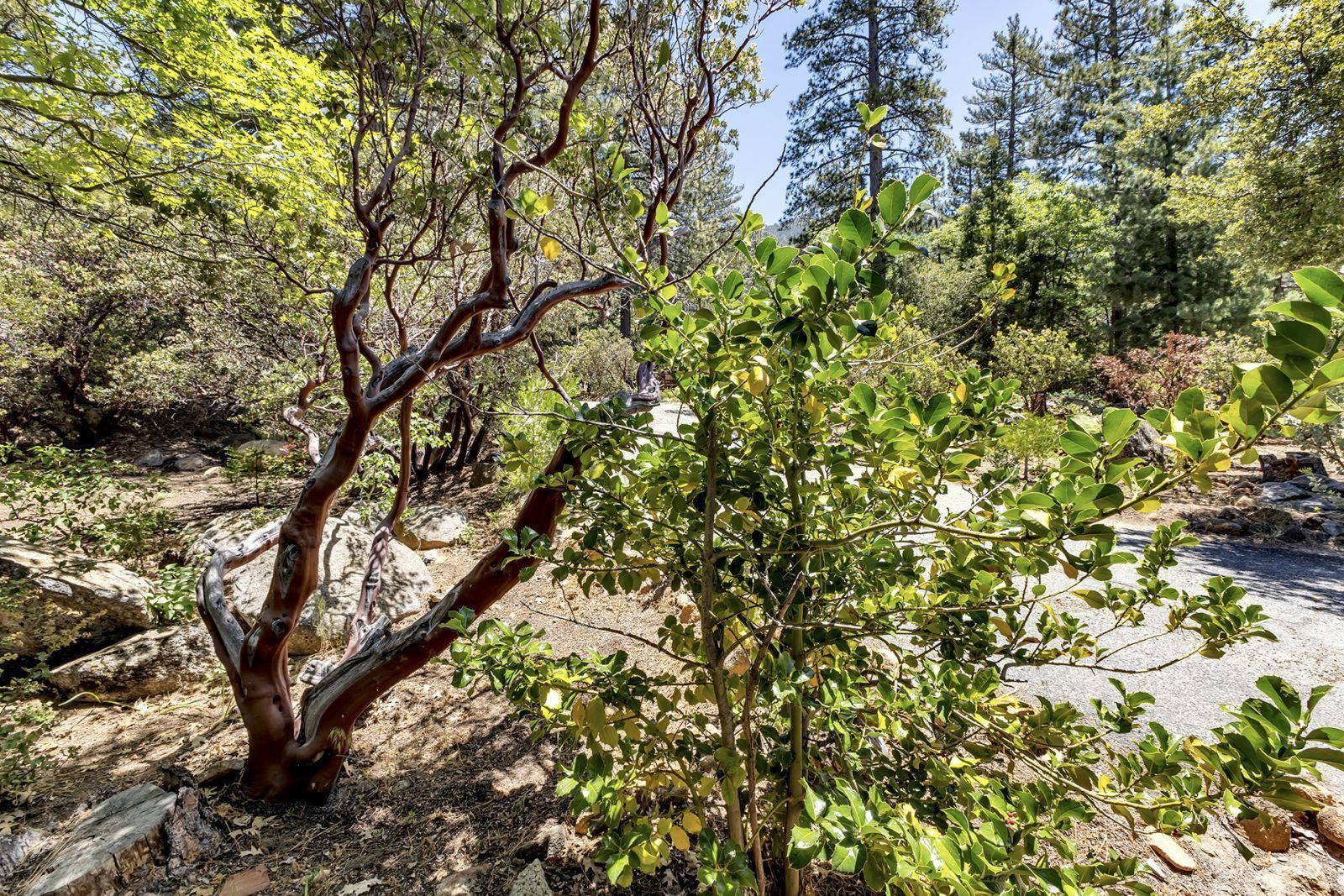 Property Photo 24