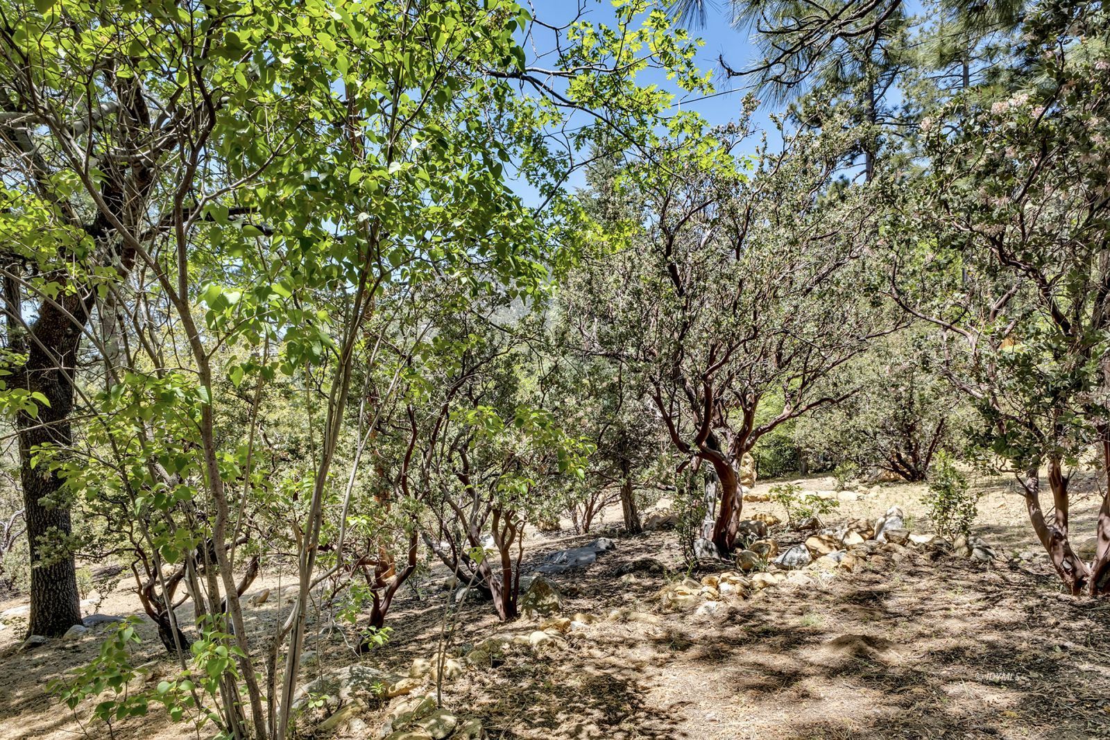Property Photo 47