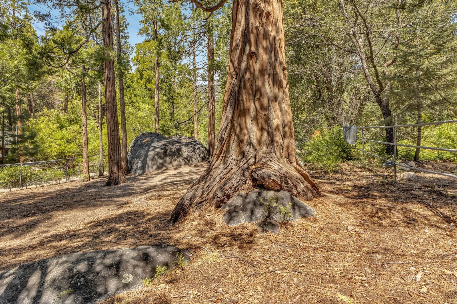 Property Photo 68