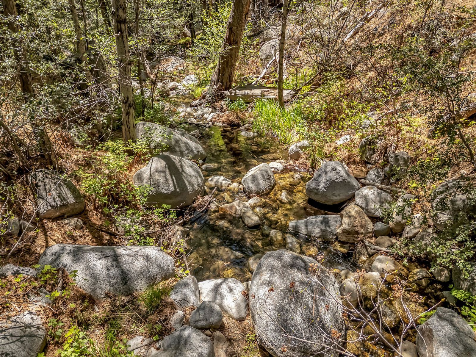 Property Photo 75