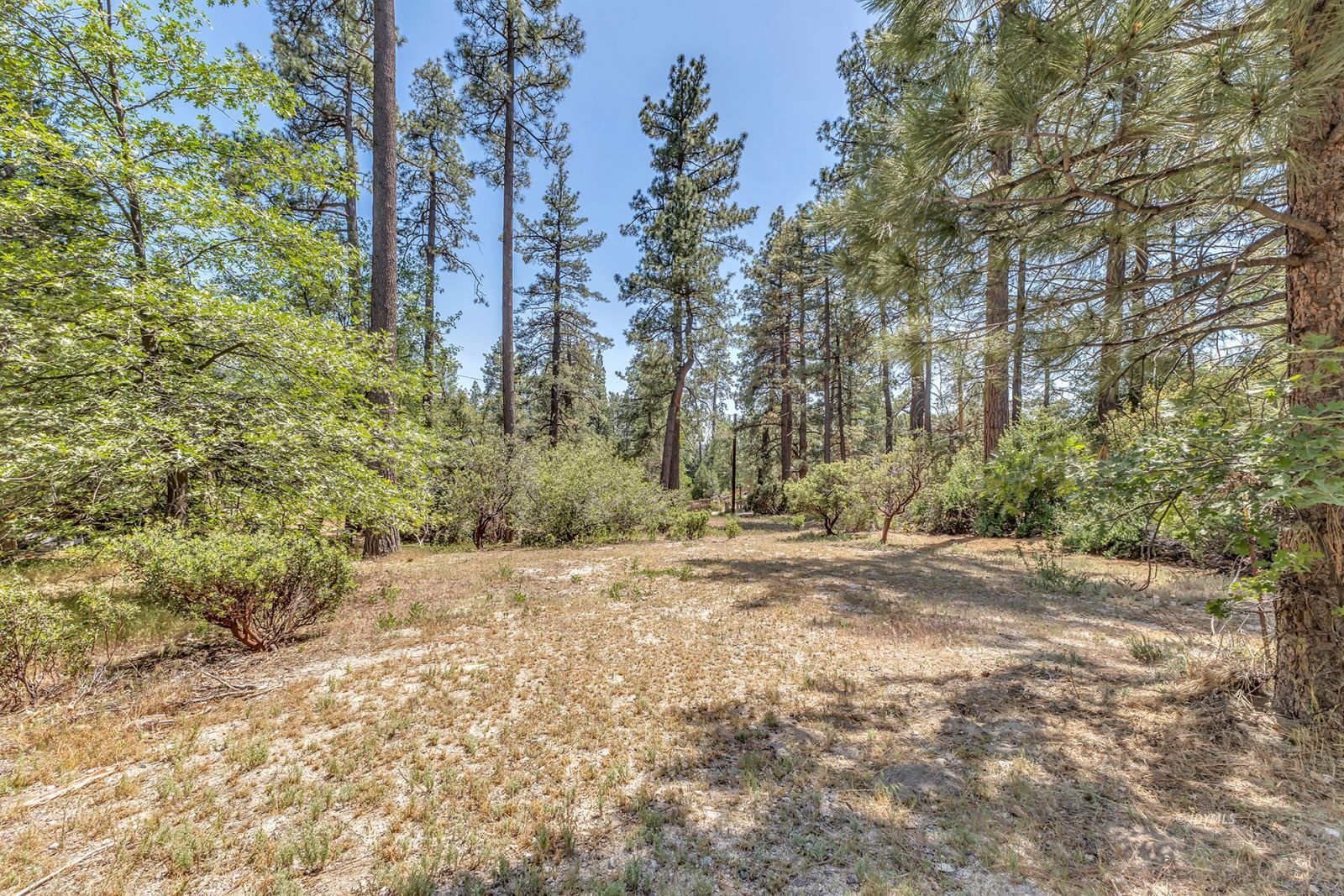 Property Photo 88