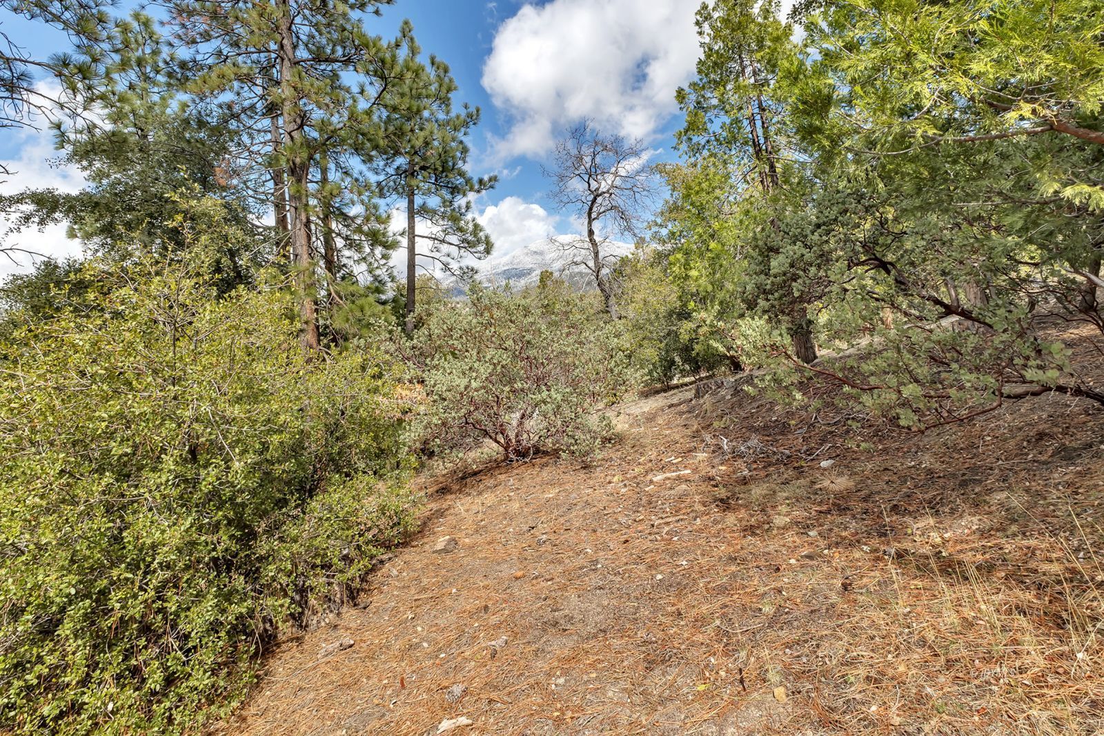 Property Photo 58