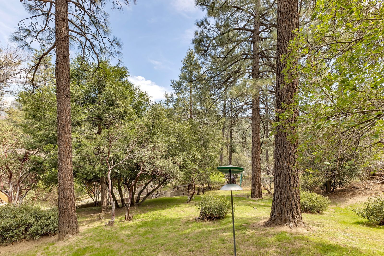 Property Photo 52