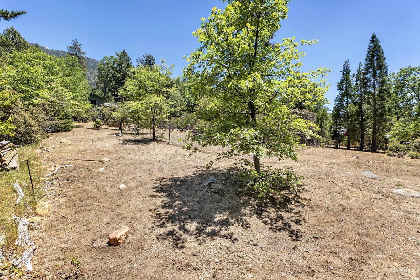Property Photo 52