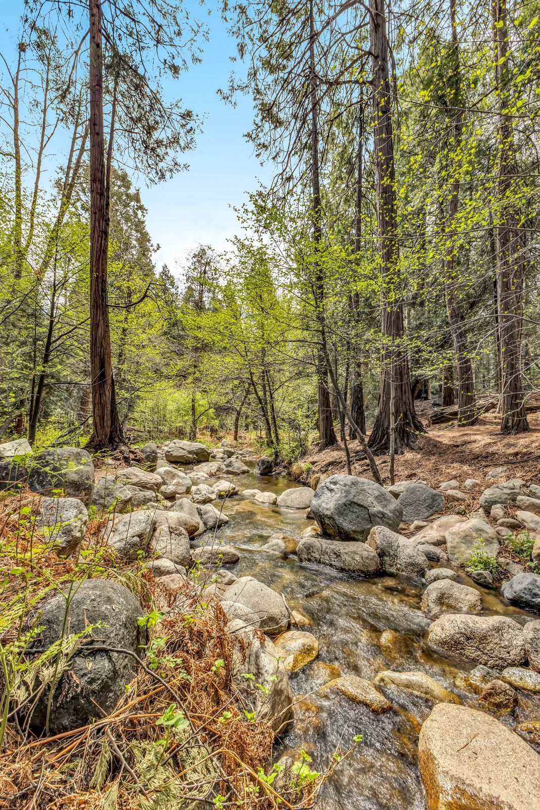 Property Photo 68