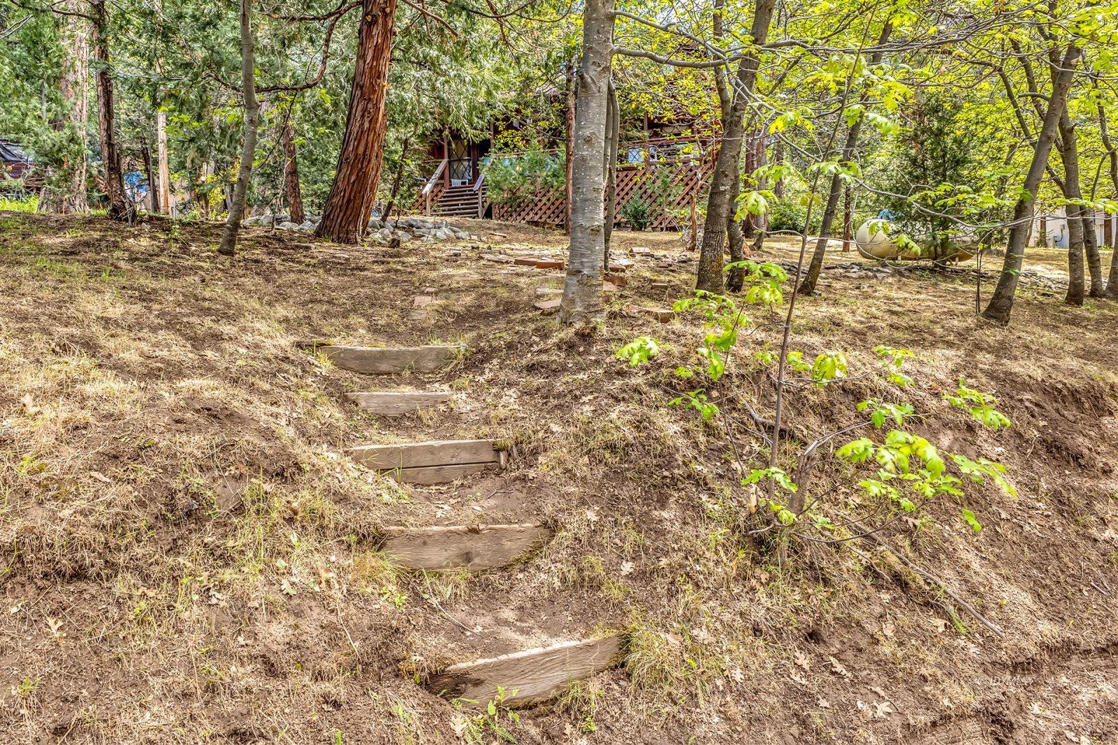 Property Photo 62