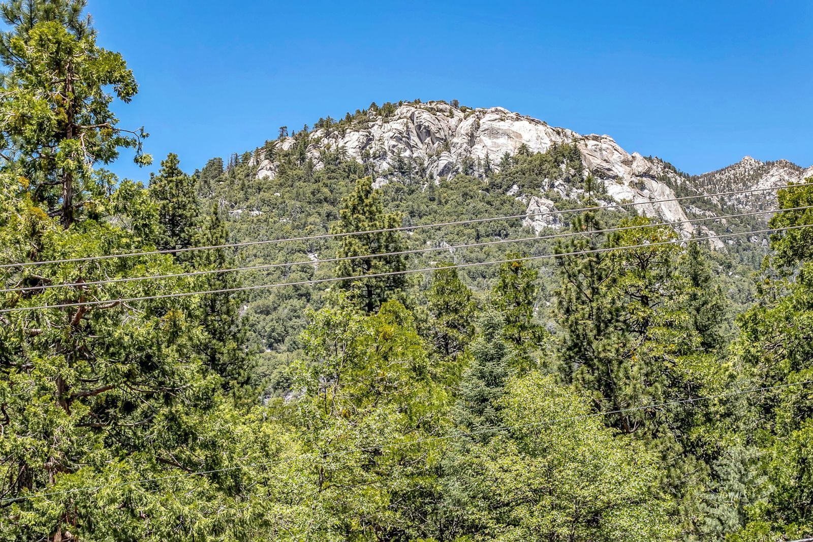 Property Photo 43