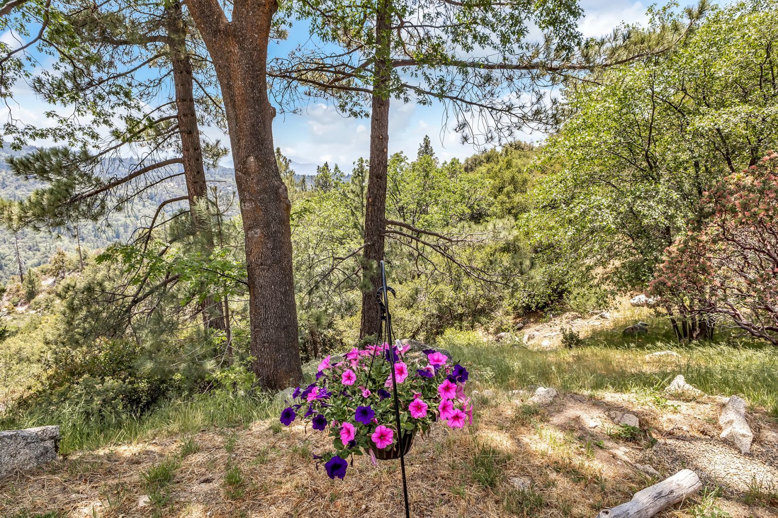 Property Photo 80