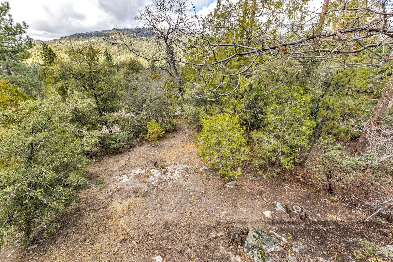 Property Photo 53