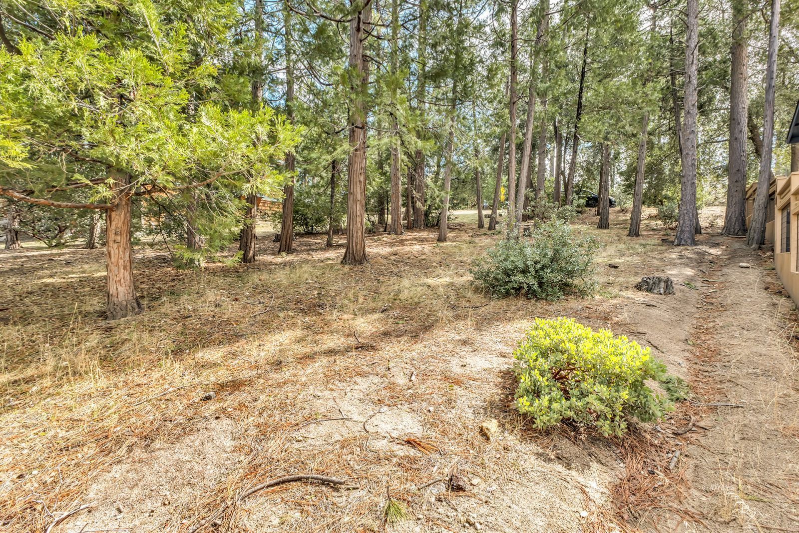 Property Photo 59
