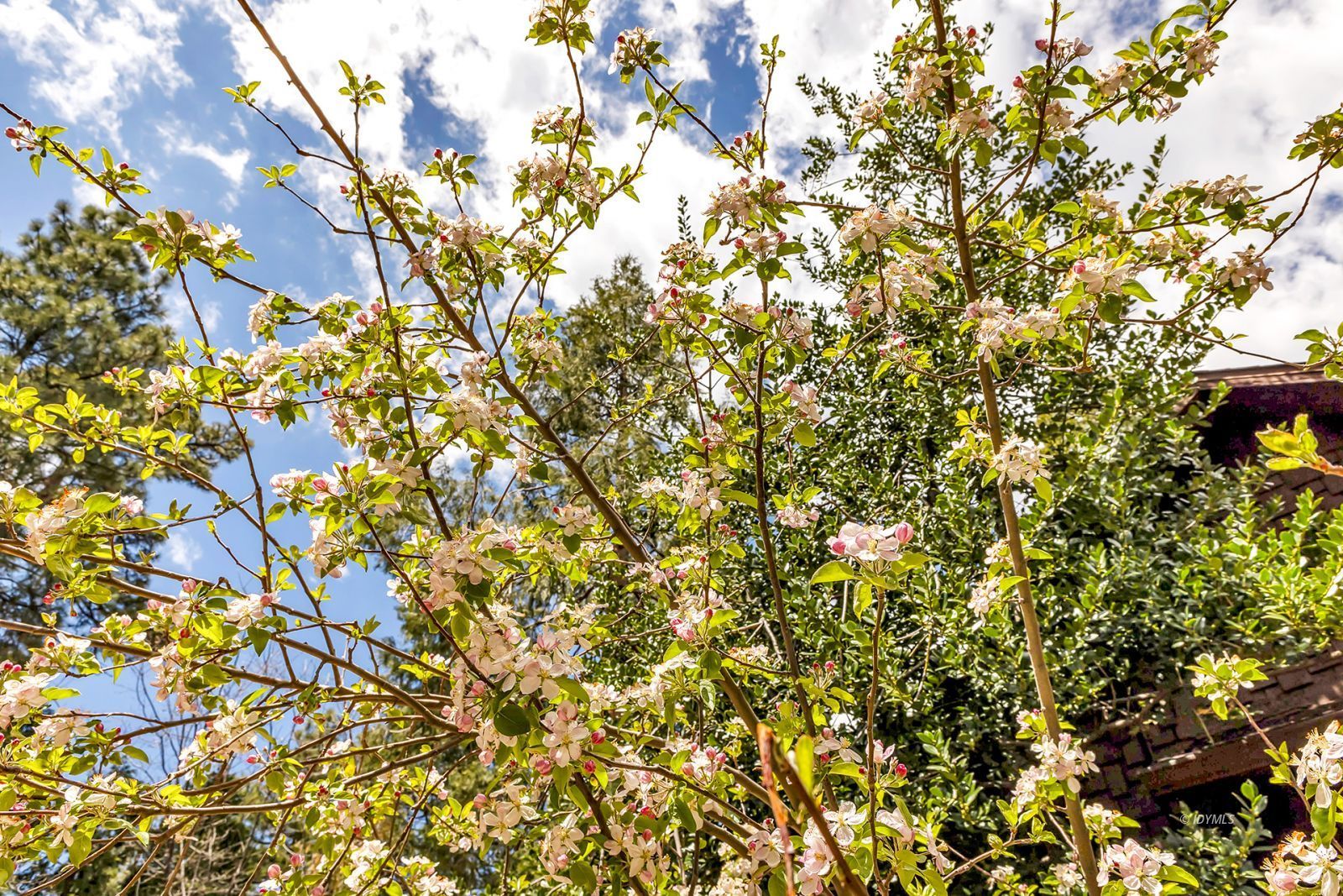 Property Photo 46