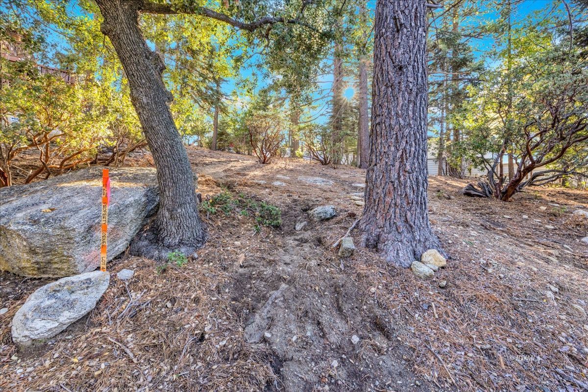 Property Photo 46