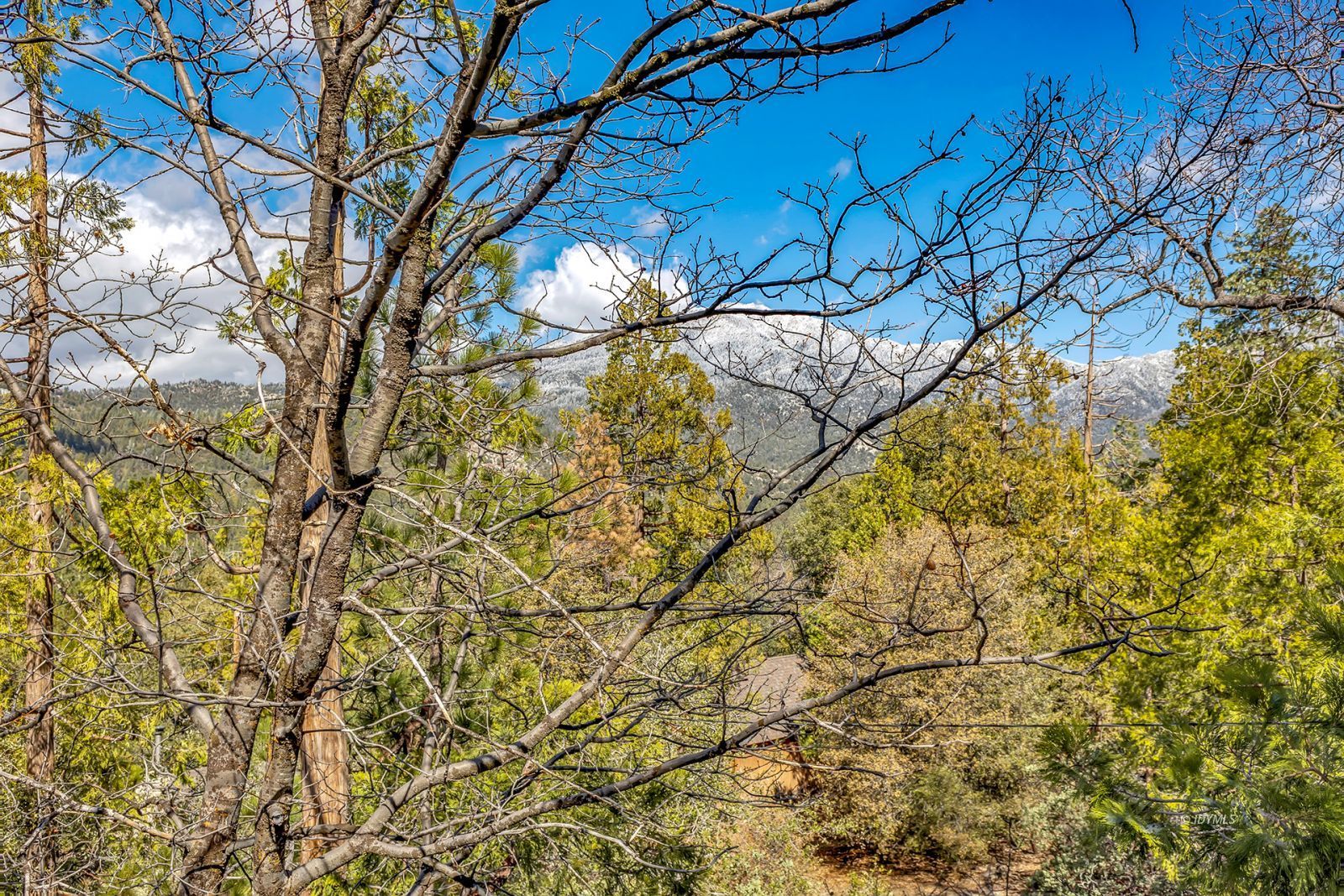 Property Photo 45