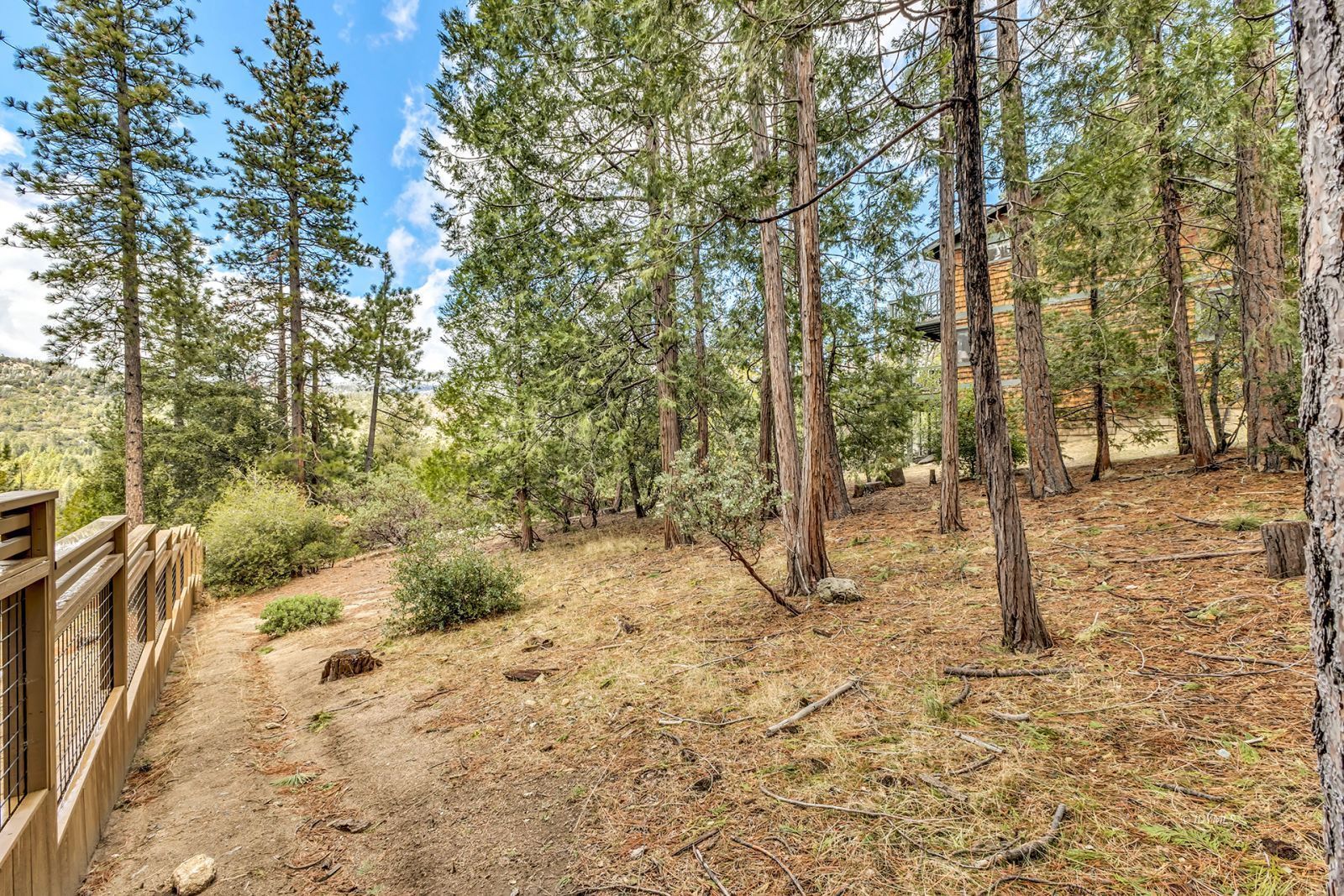 Property Photo 57