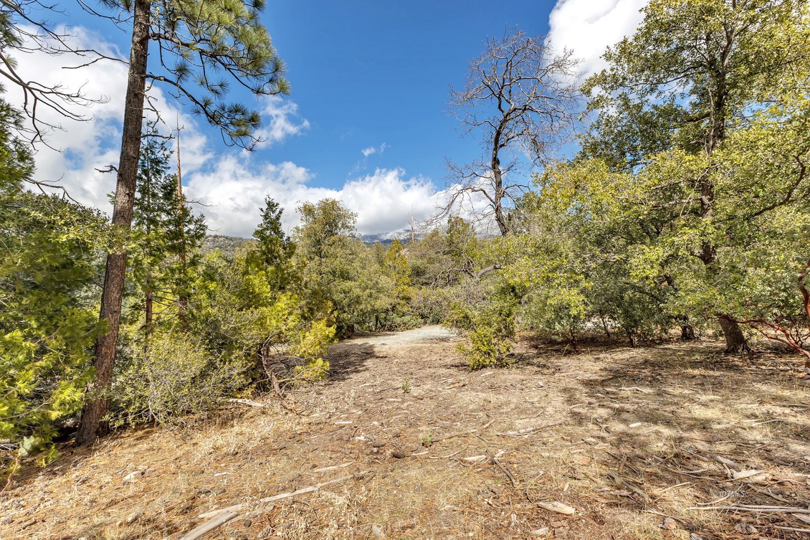 Property Photo 60