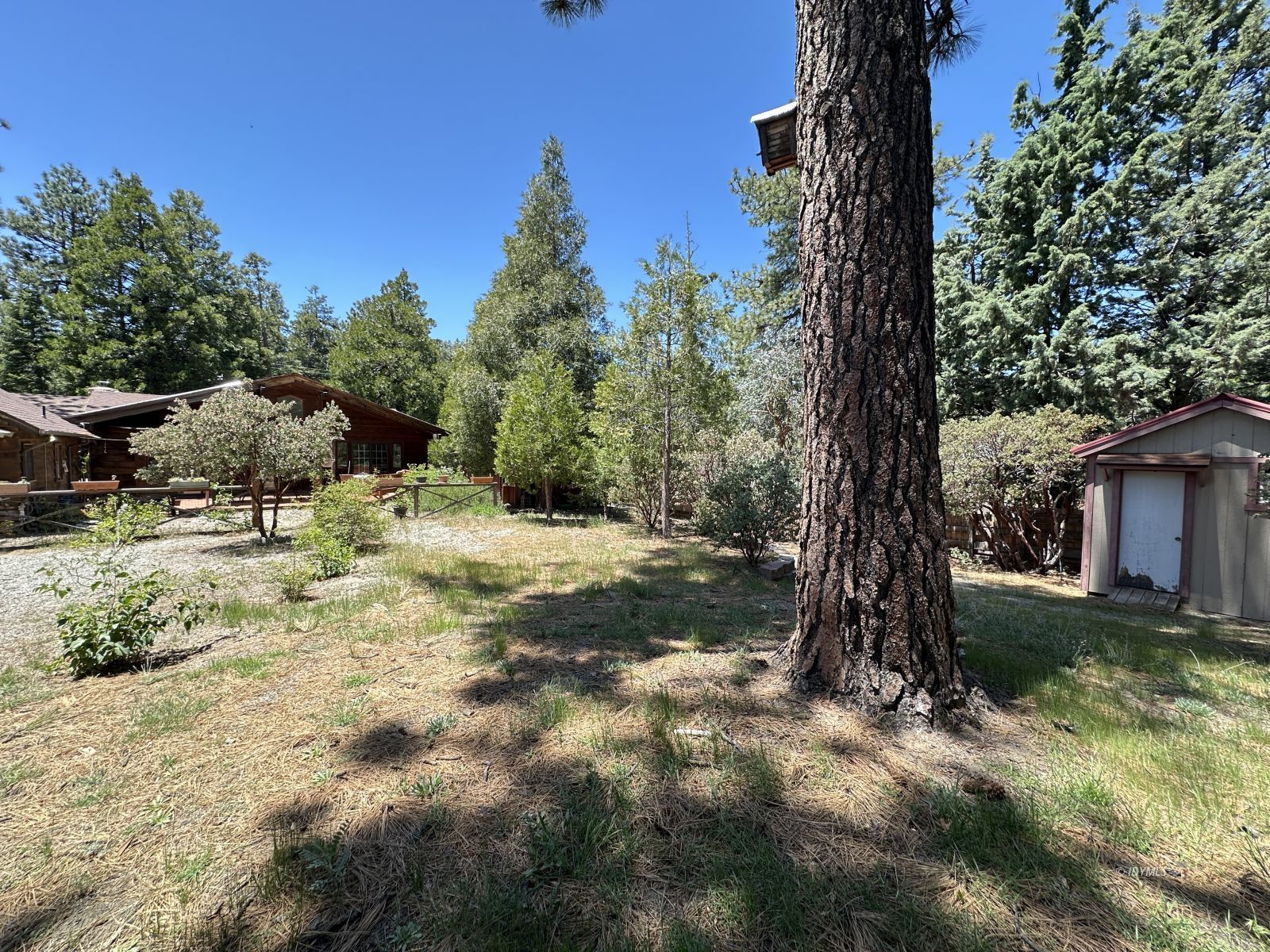 Property Photo 46