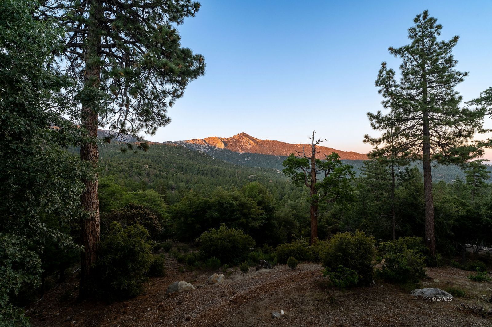 Property Photo 98