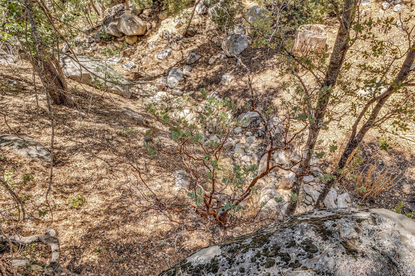 Property Photo 46