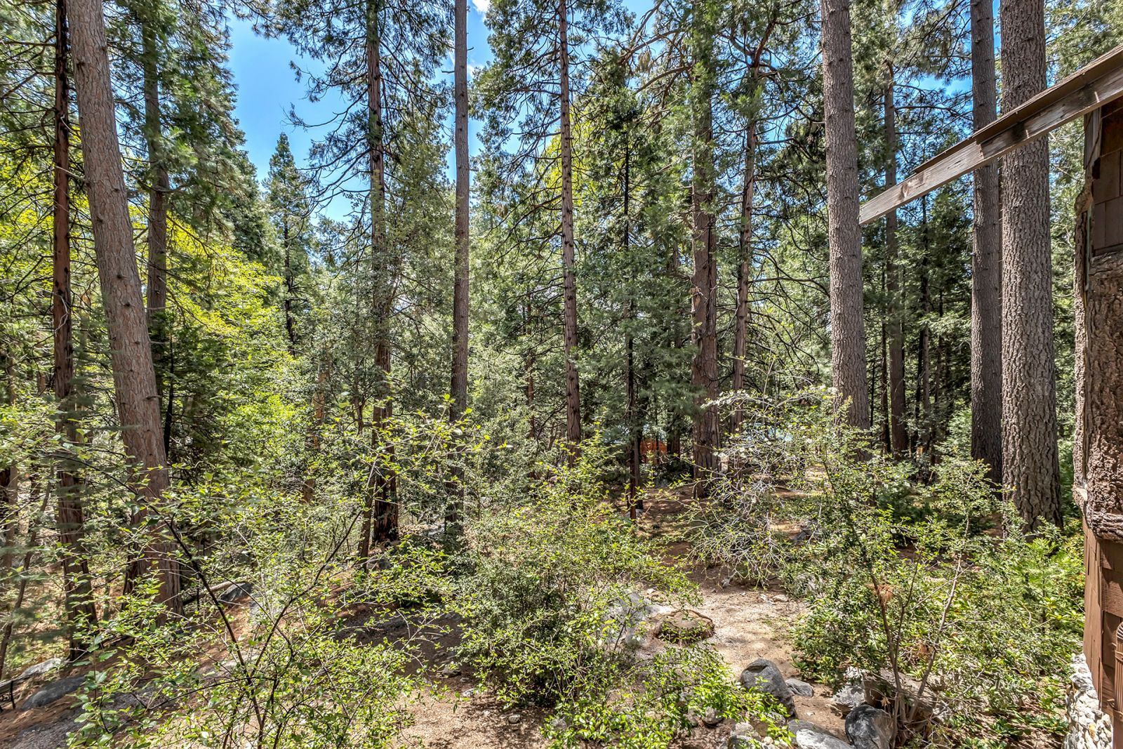 Property Photo 66