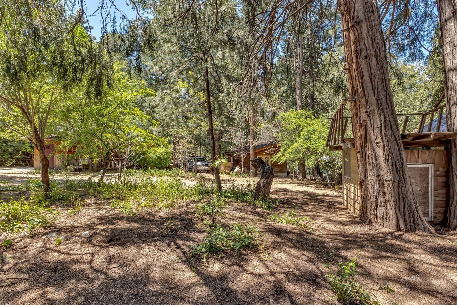 Property Photo 50
