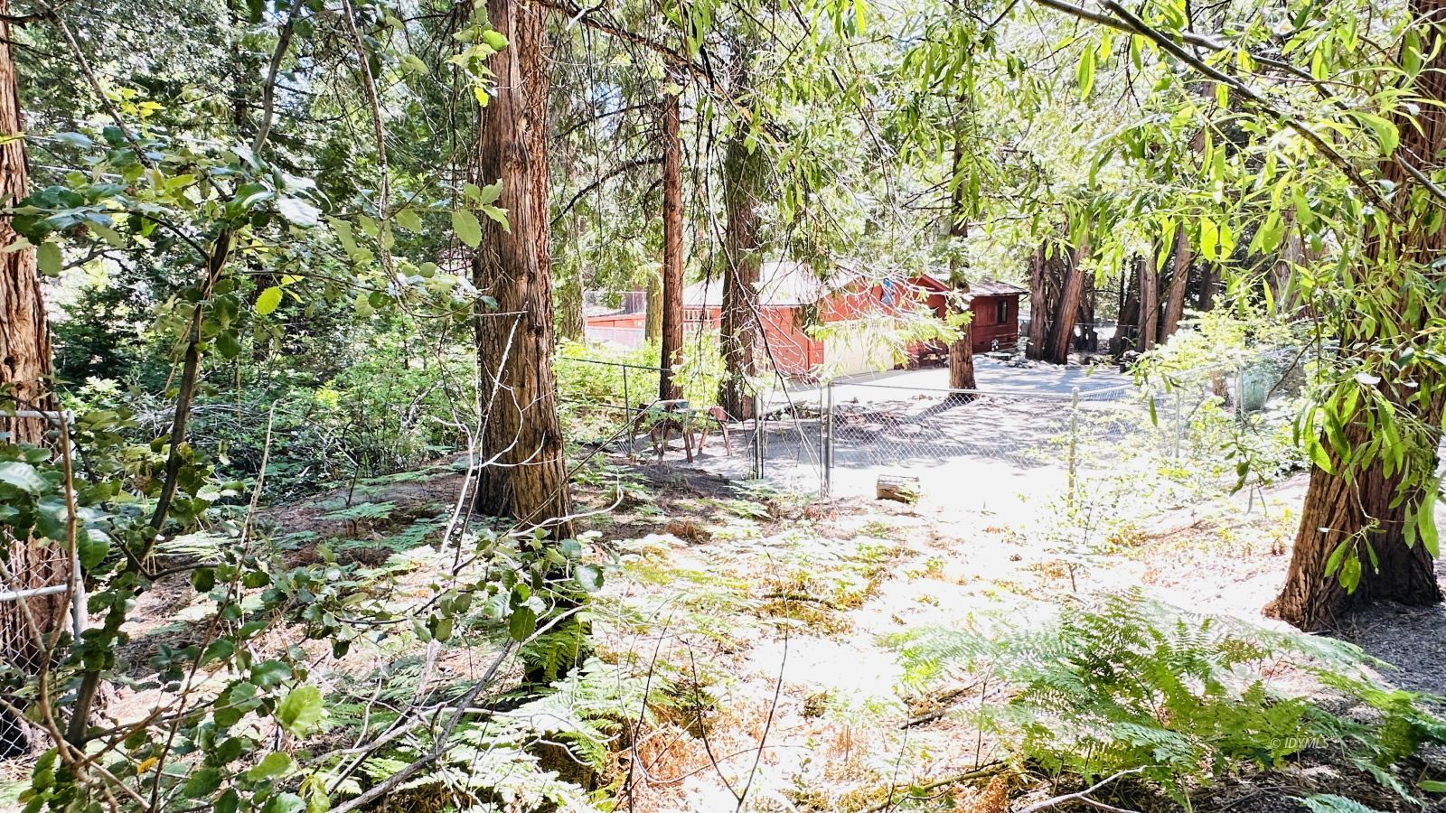 Property Photo 31