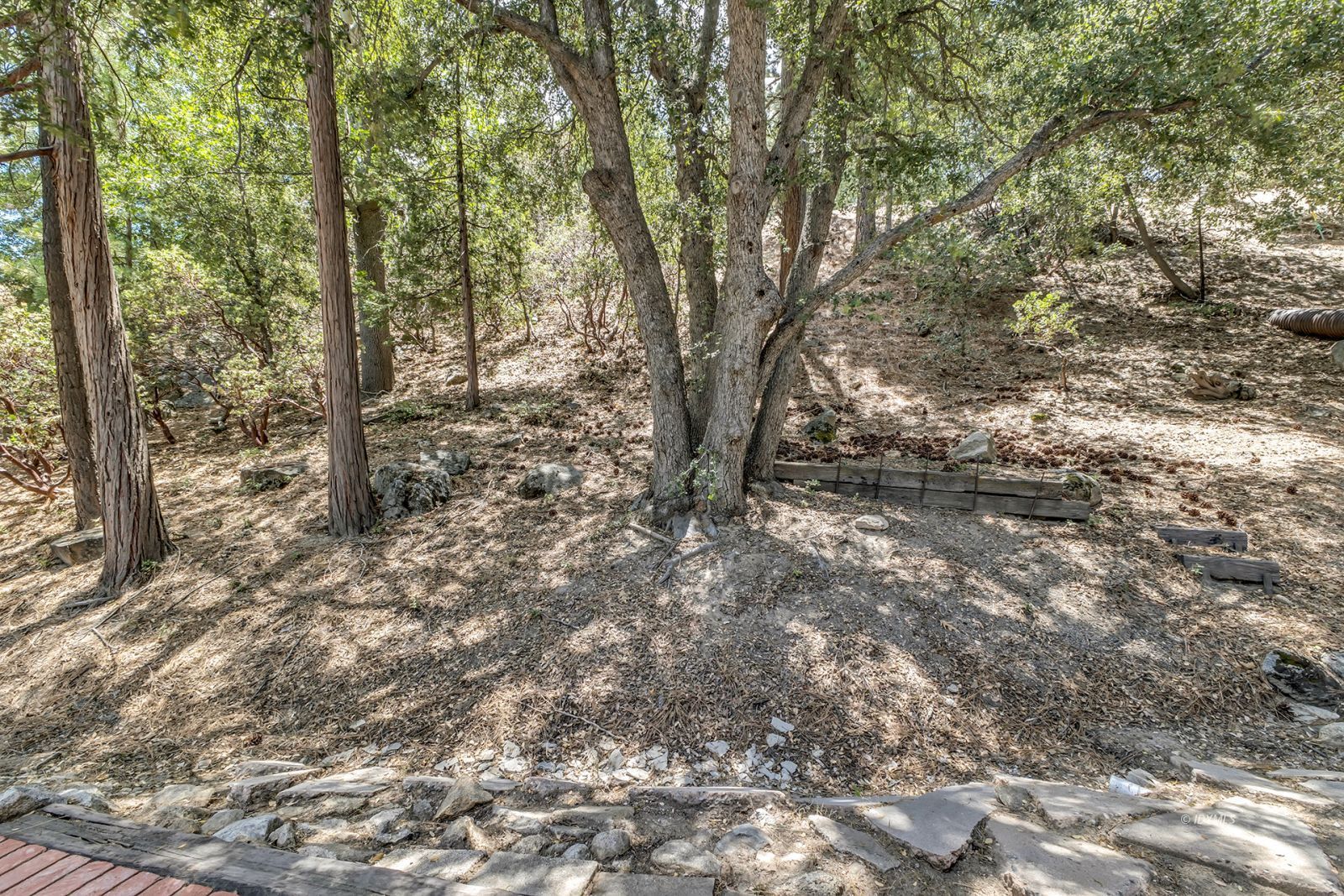 Property Photo 74