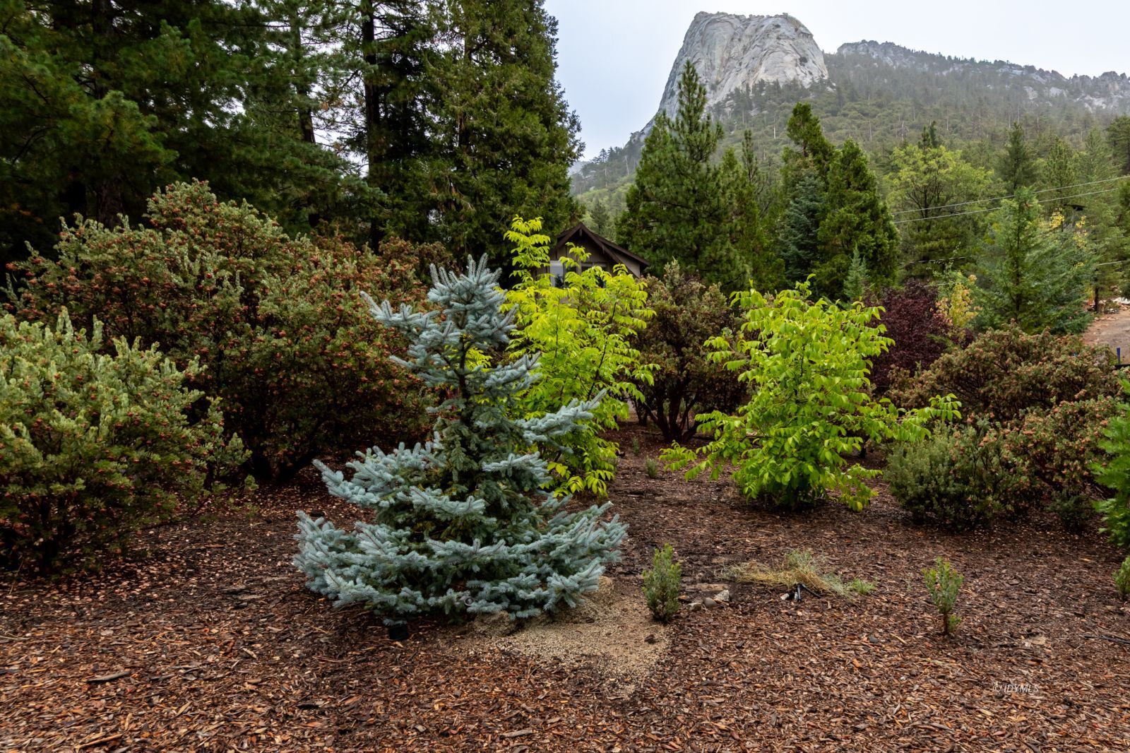 Property Photo 32