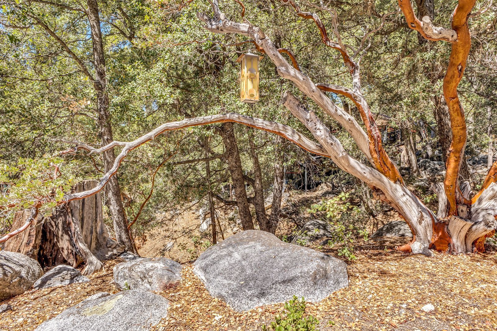 Property Photo 45