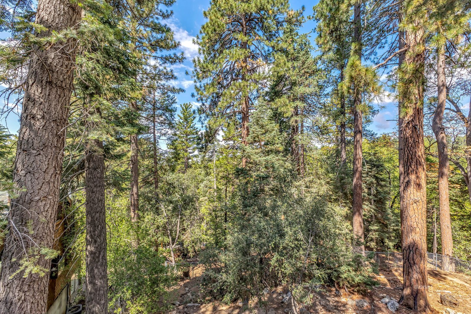 Property Photo 42