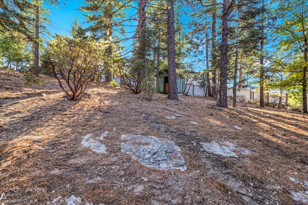 Property Photo 47