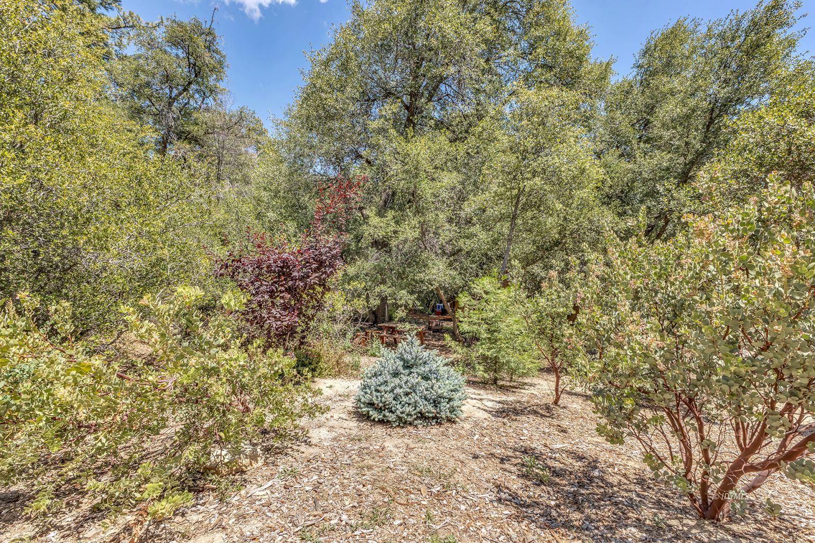 Property Photo 84