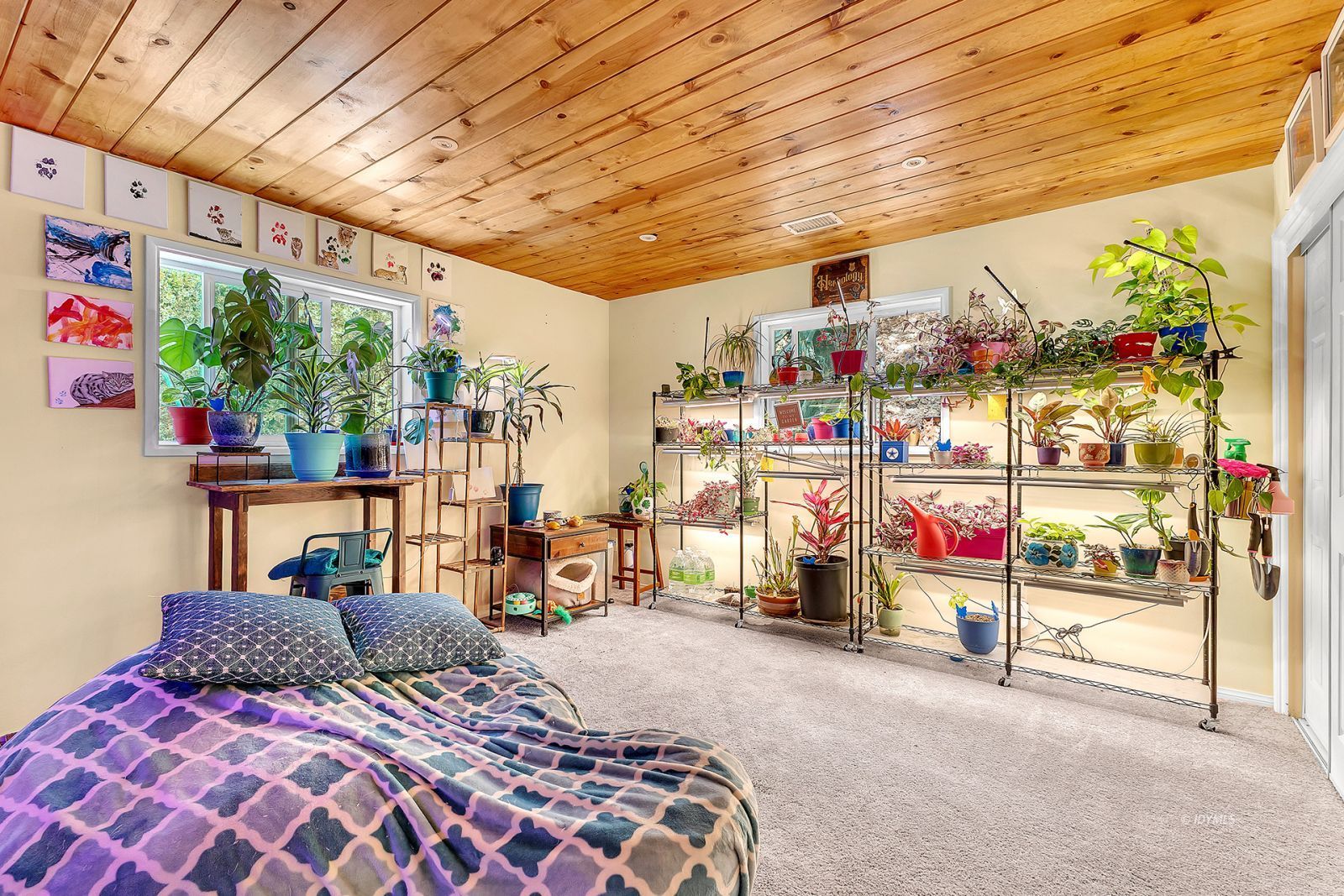Property Photo 48