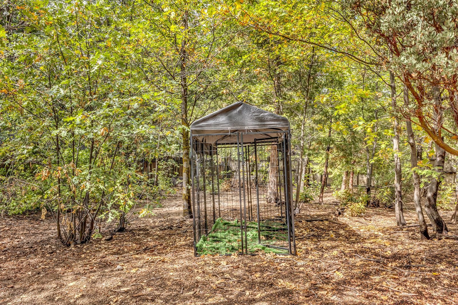Property Photo 41