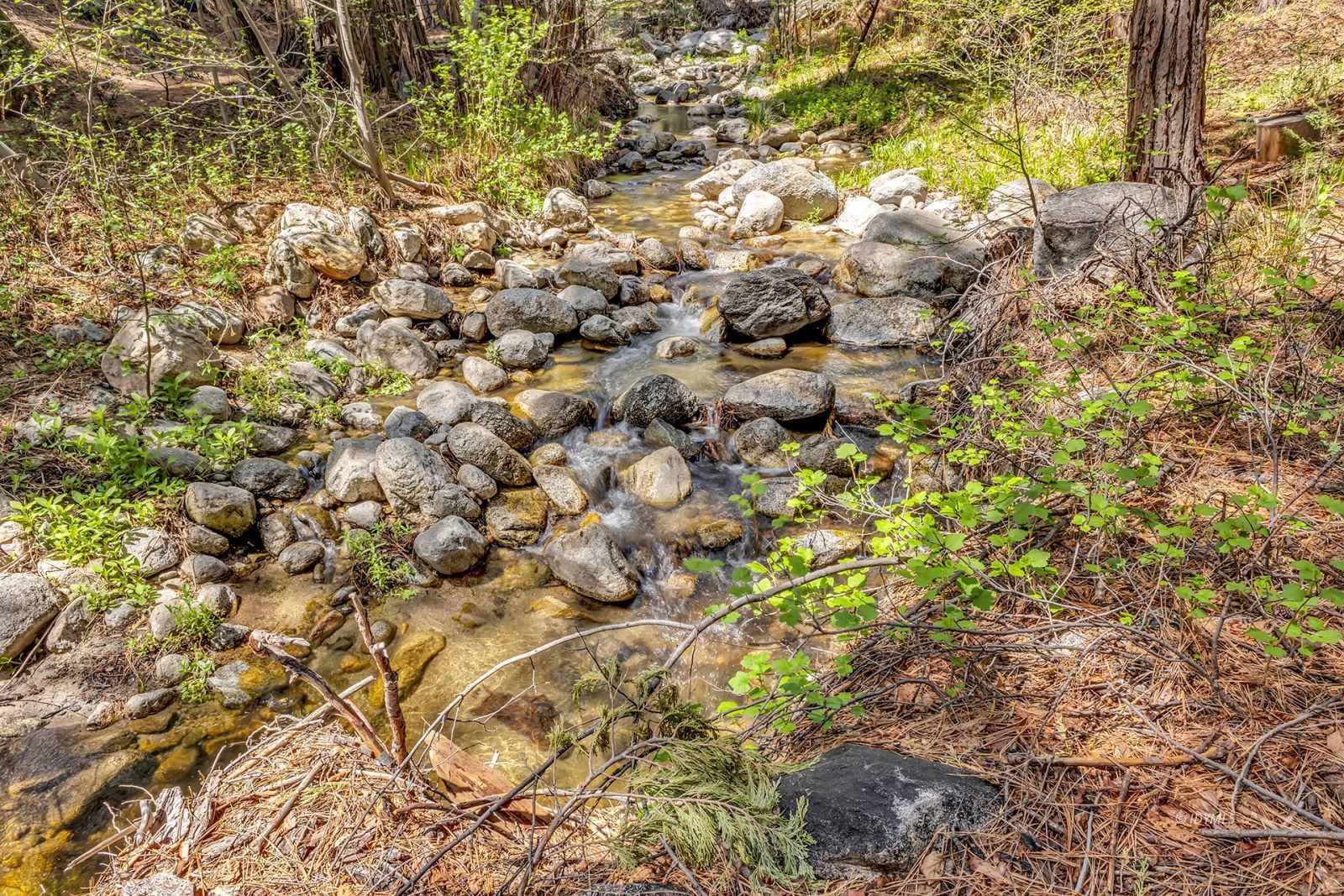Property Photo 66