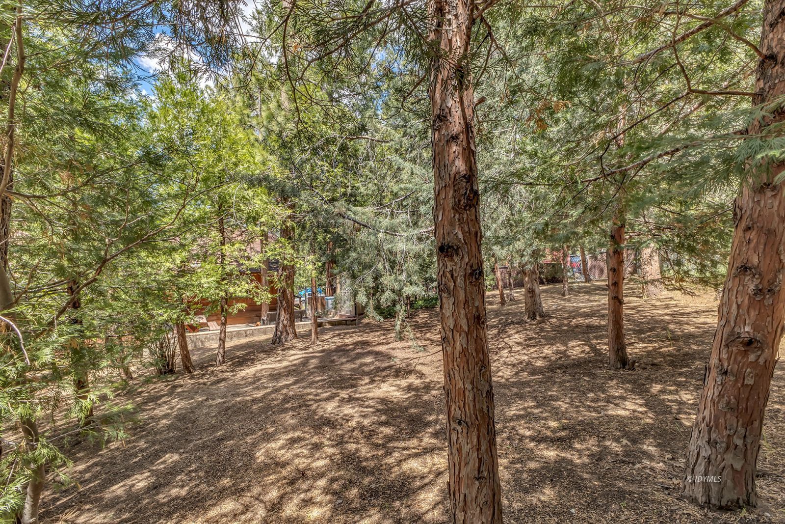 Property Photo 58