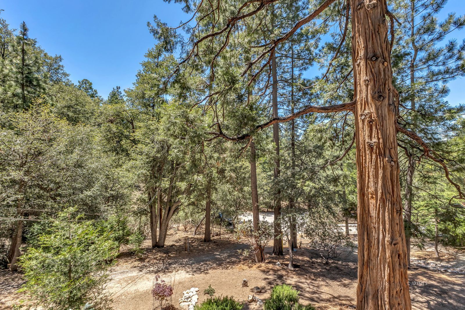 Property Photo 57