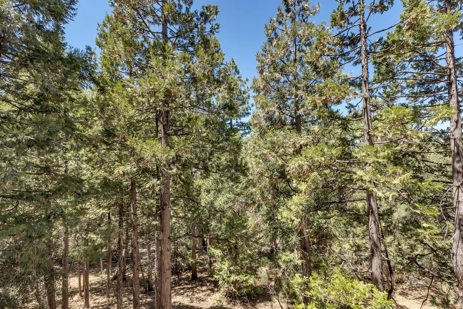 Property Photo 41