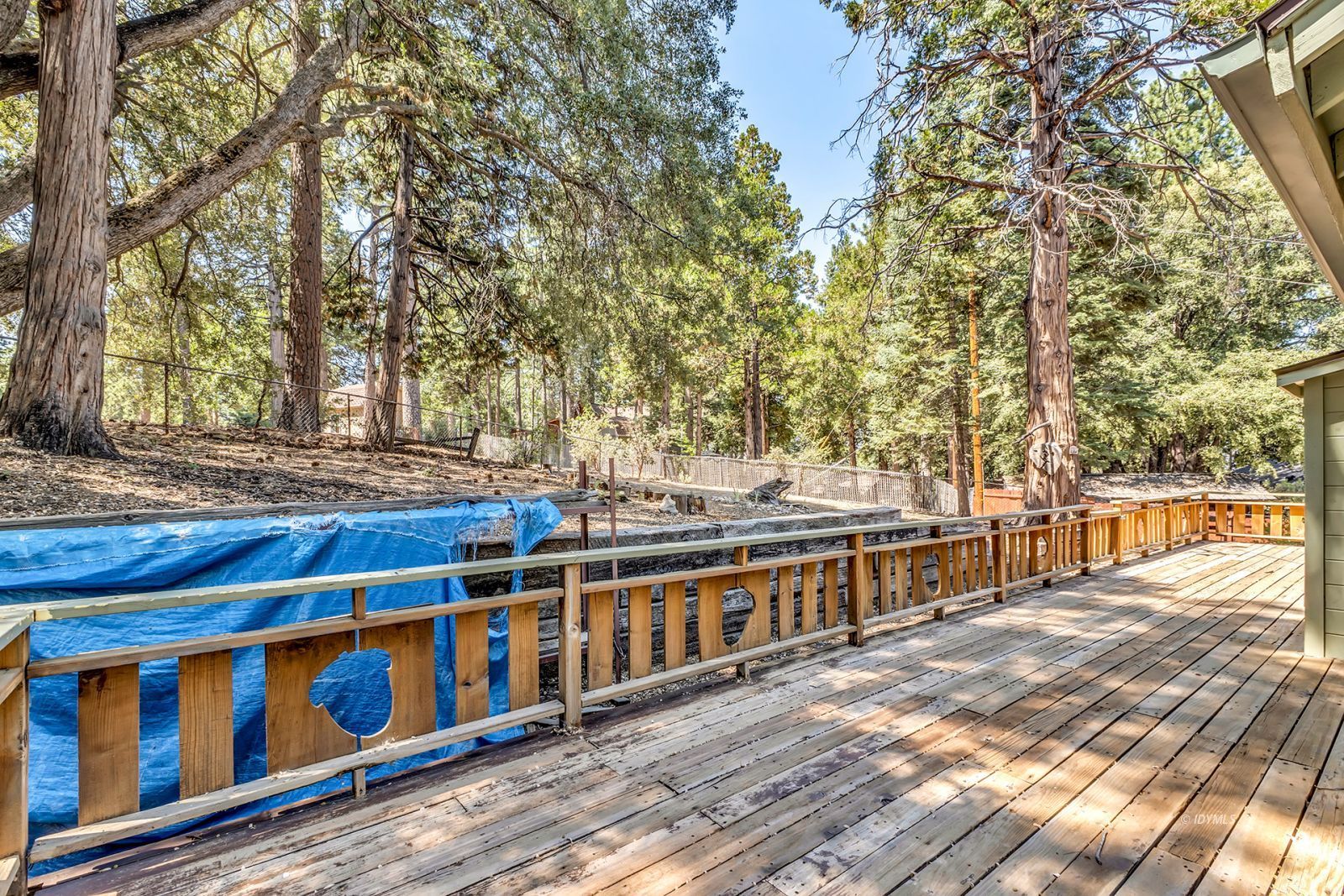 Property Photo 48