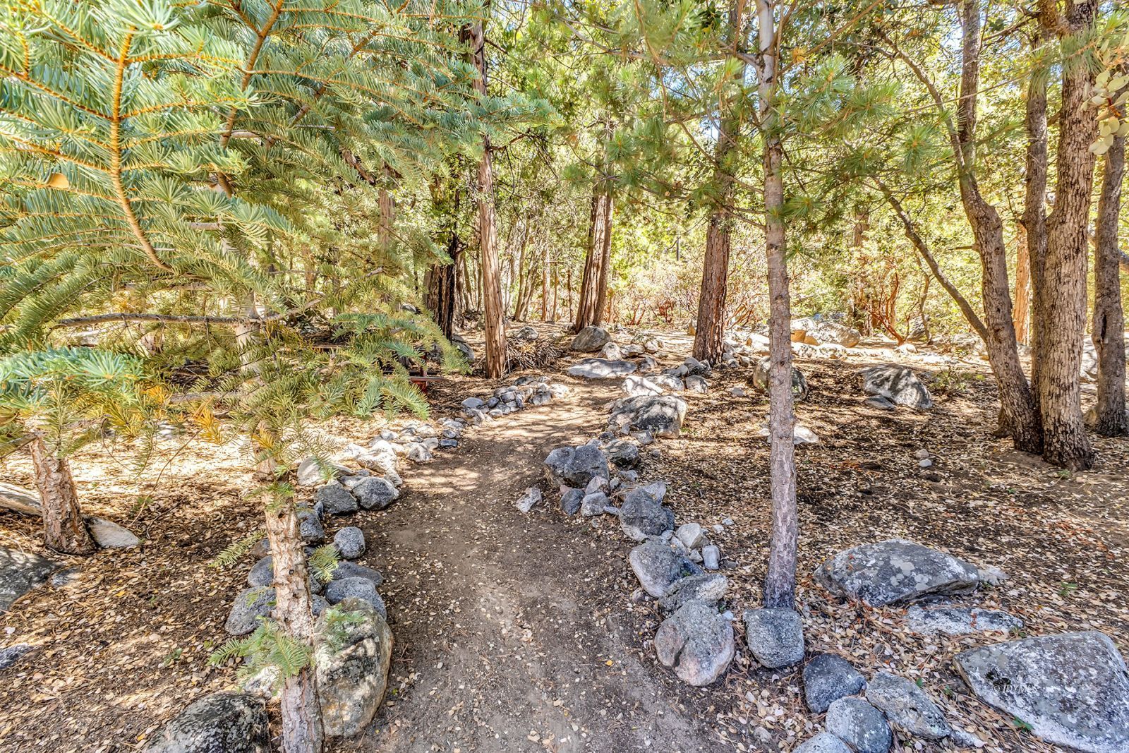 Property Photo 50