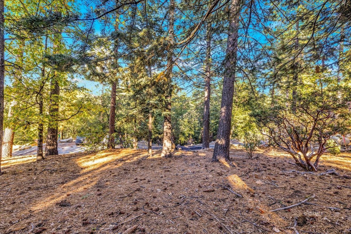 Property Photo 45